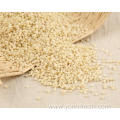 Healthiest Grains Of Rice